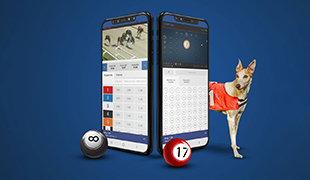 Odigraj svoje sretne brojeve ili prognoziraj pobjednika u trkama pasa i osvoji velike dobitke!